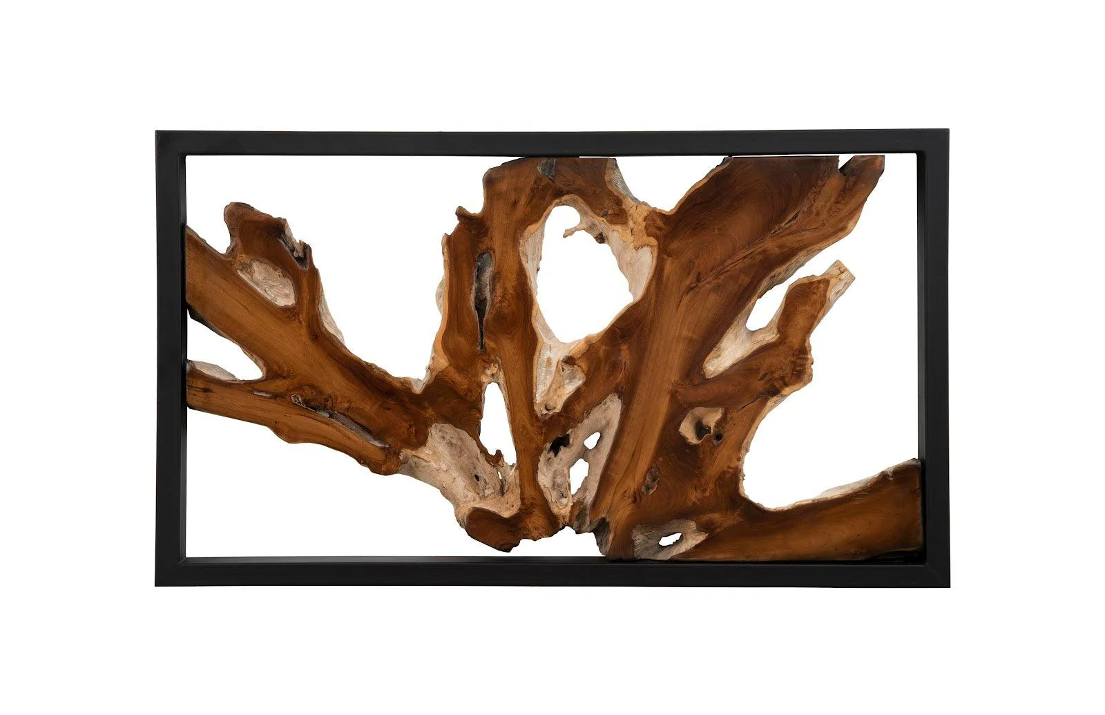 Framed Root Wall Art, Rectangle, Black - Remutear