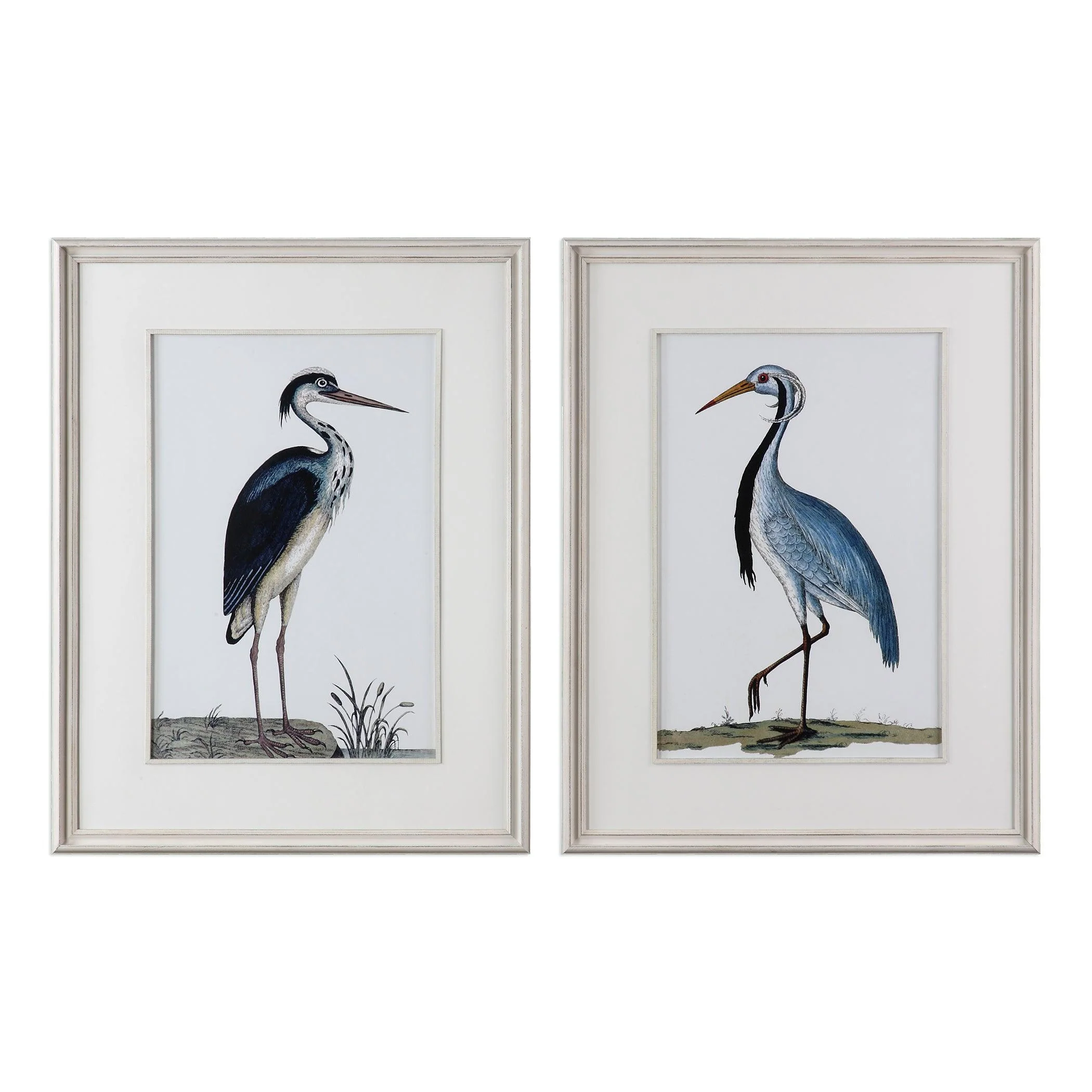 SHORE BIRDS FRAMED PRINTS SET OF 2 - Remutear