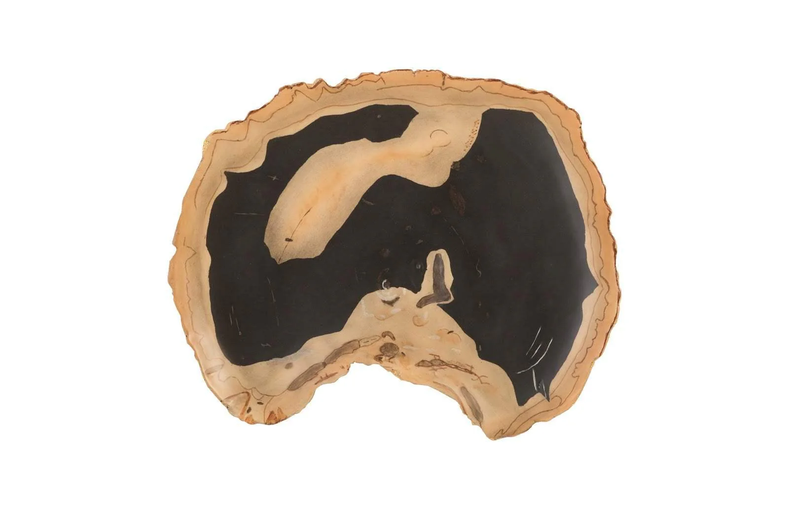 Cast Petrified Wood Wall Tile, Resin, Thin - Remutear