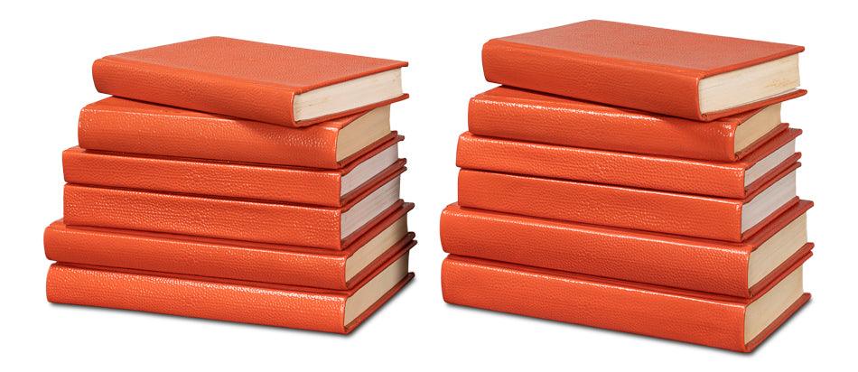 Shagreen Books - Set Of 12 - Orangeade - Remutear