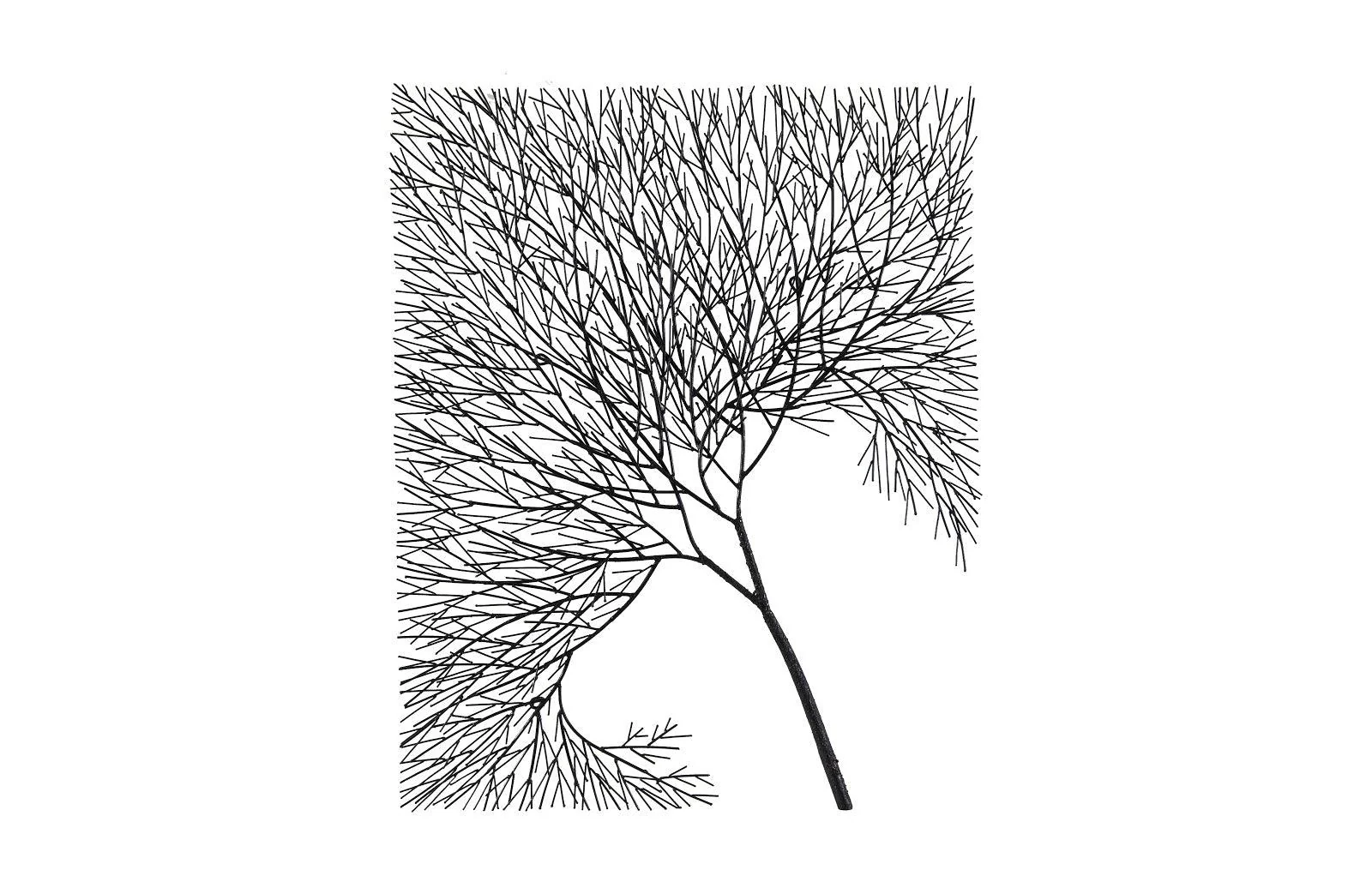 Wire Tree Wall Art, Rectangular, Metal, Black - Remutear