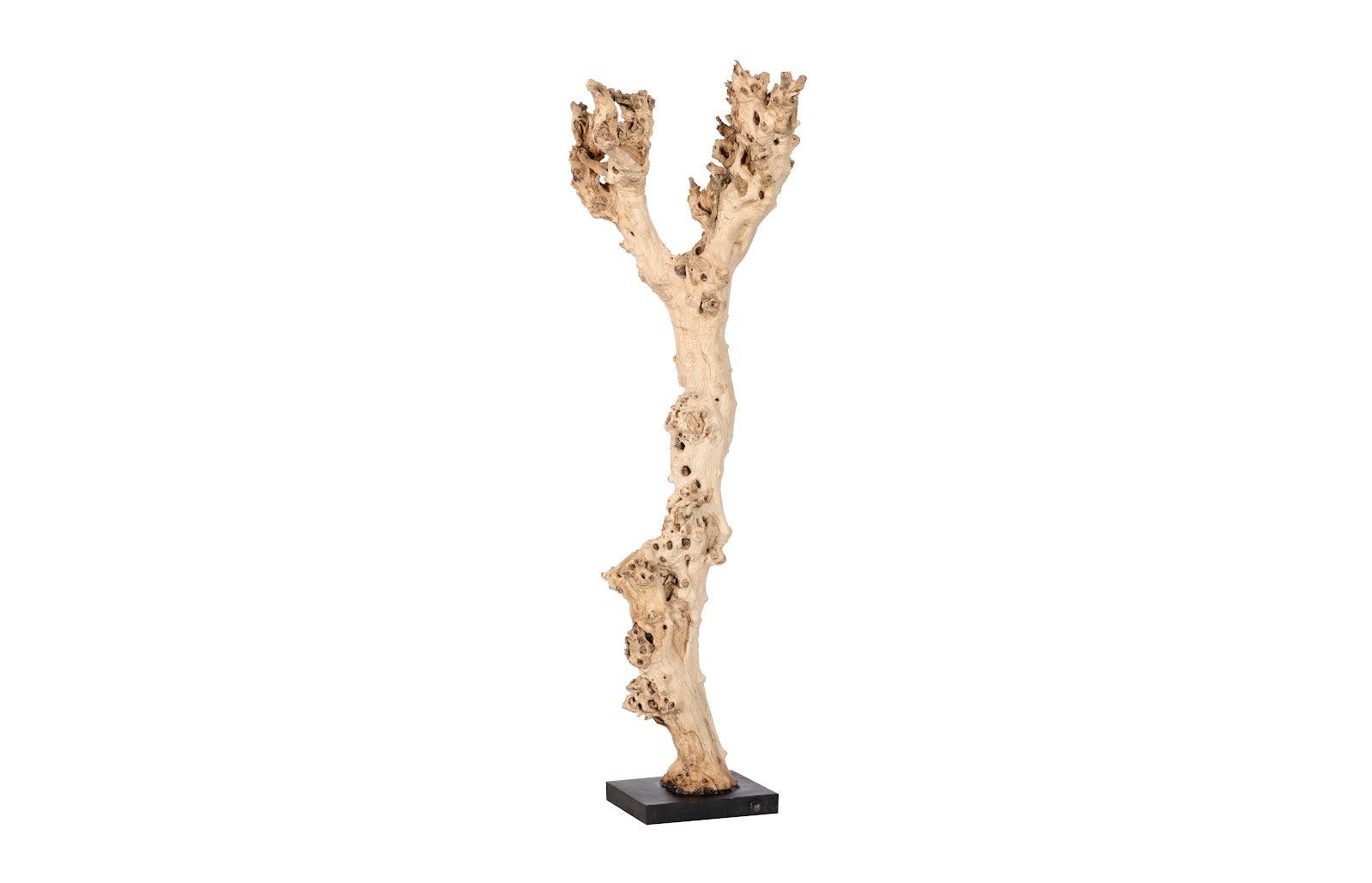 Wood Sculpture, Assorted - Remutear