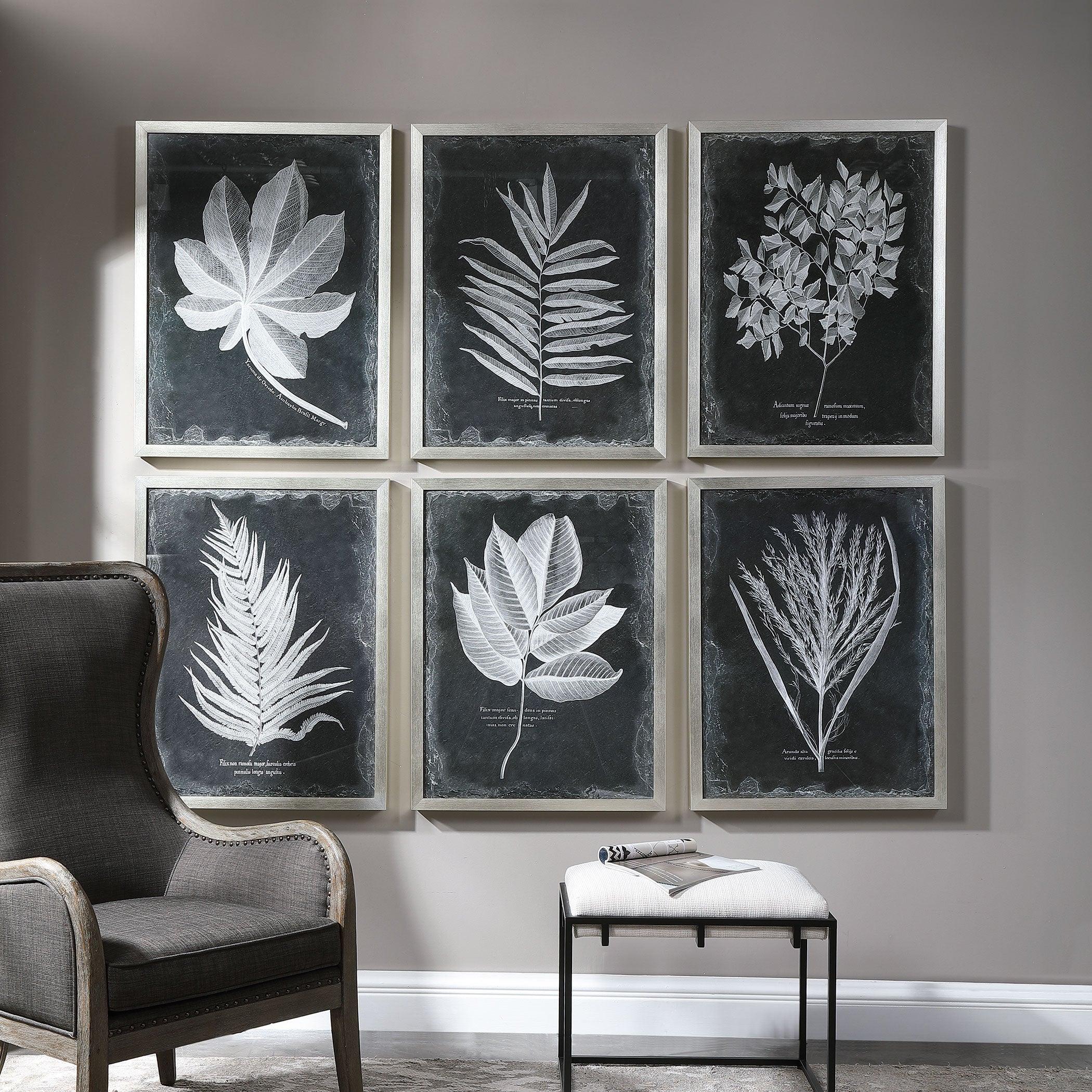 FOLIAGE FRAMED PRINTS, SET OF 6 - Remutear
