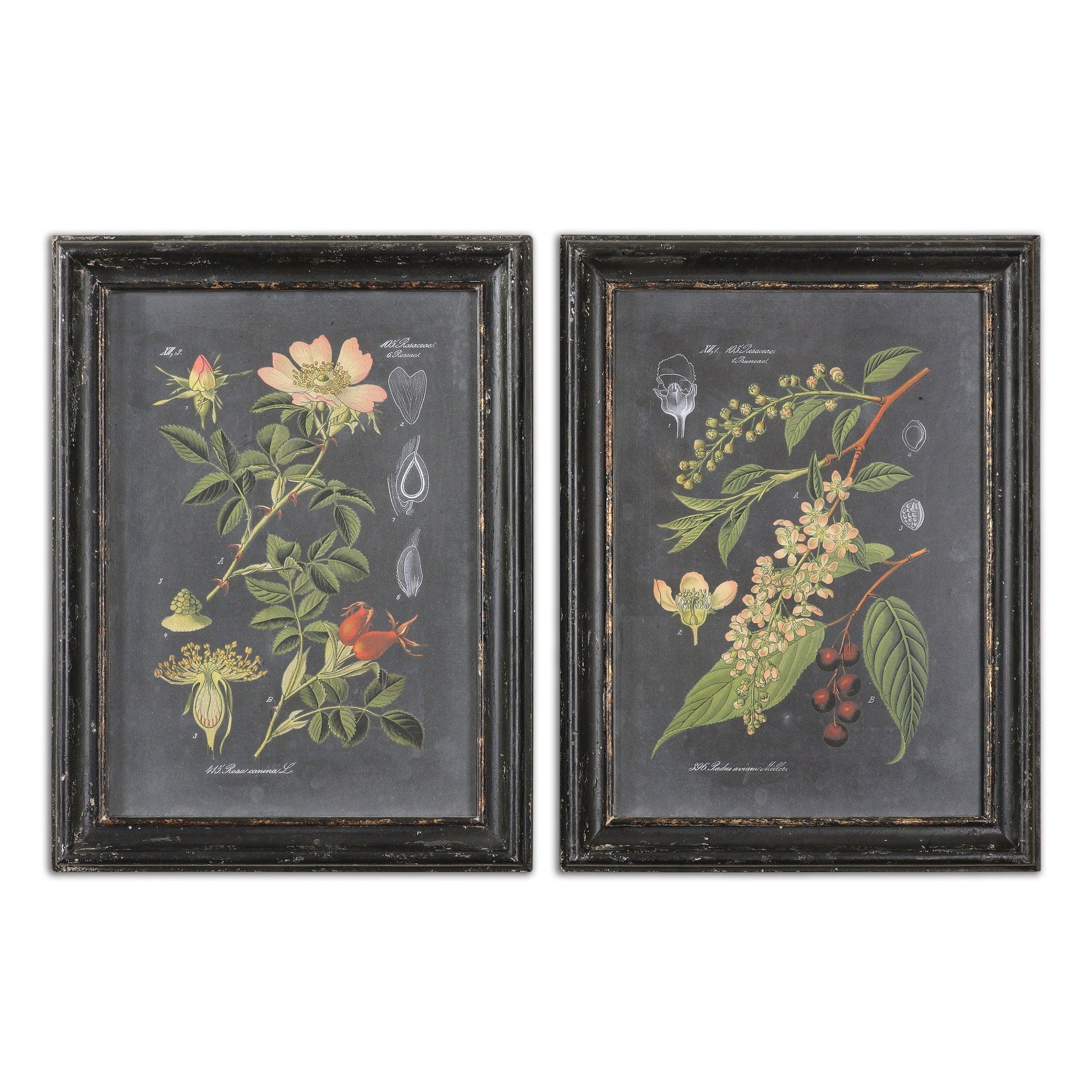 MIDNIGHT BOTANICALS WALL ART SET OF 2 - Remutear