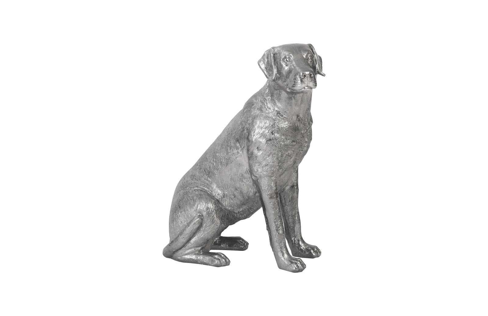 Labrador, Liquid Silver - Remutear
