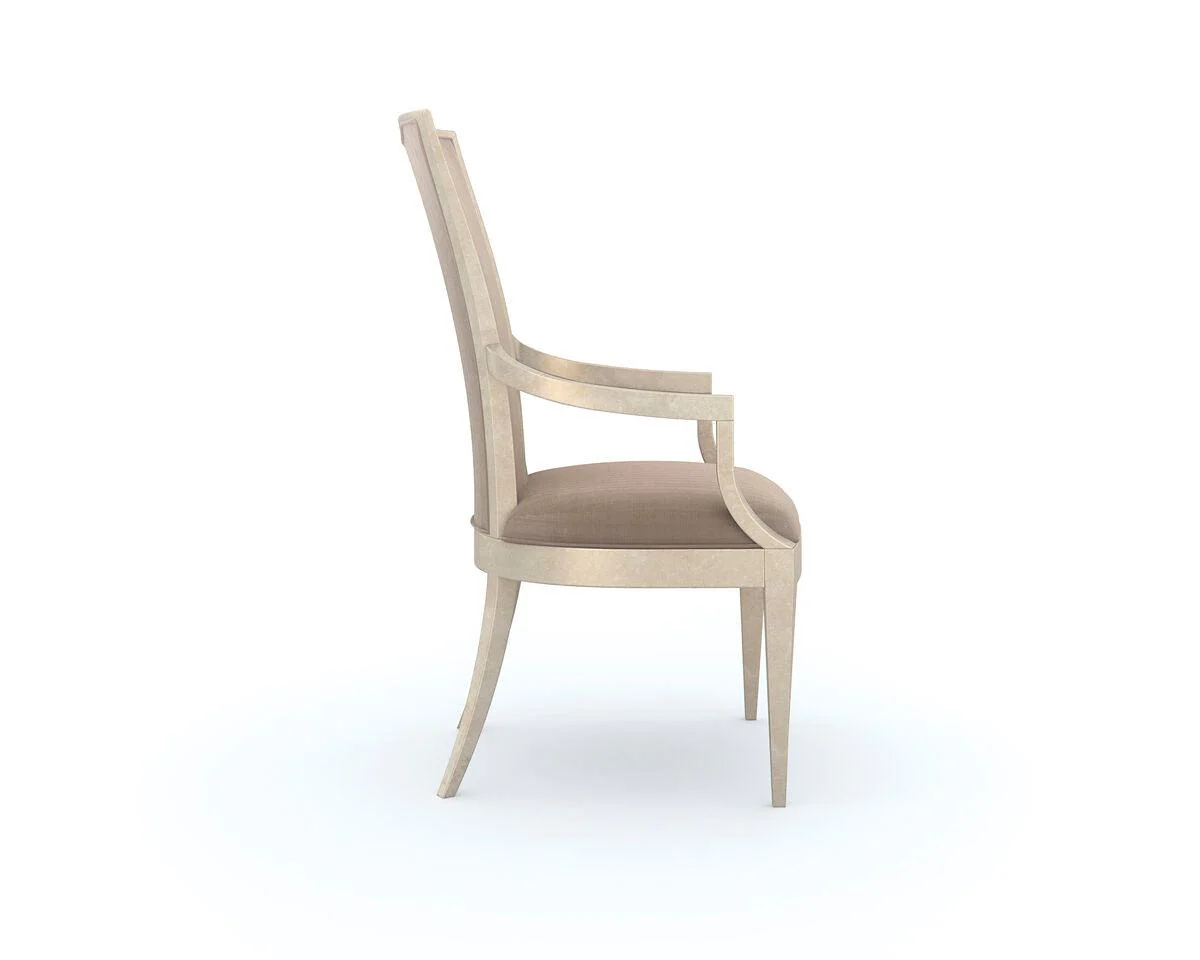 VERY APPEALING DINING ARM CHAIR - SET OF 2 - Remutear