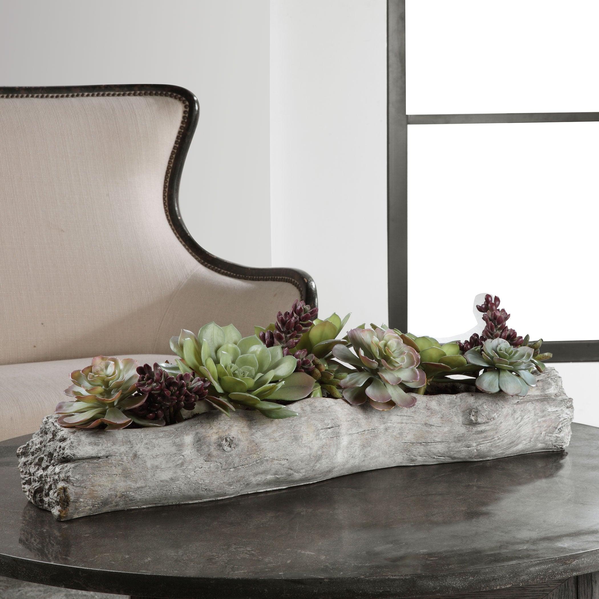 Charita Lush Succulents - Remutear