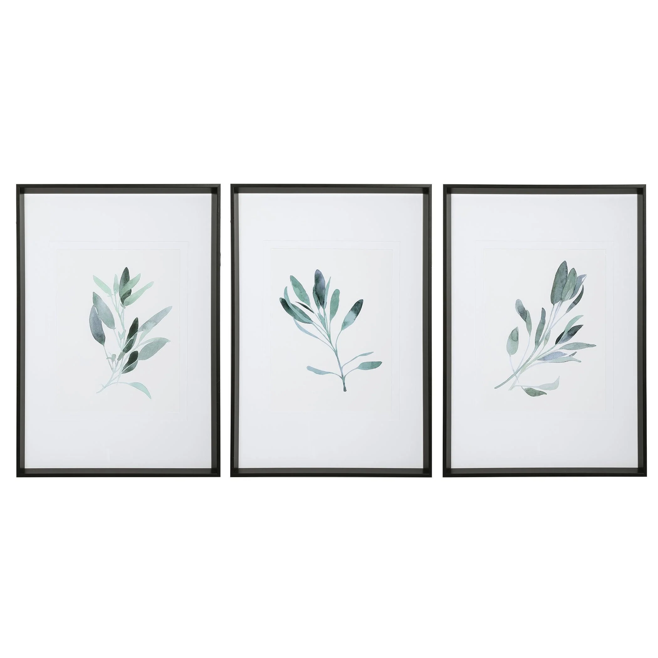 SIMPLE SAGE WATERCOLOR PRINTS, SET OF 3 - Remutear