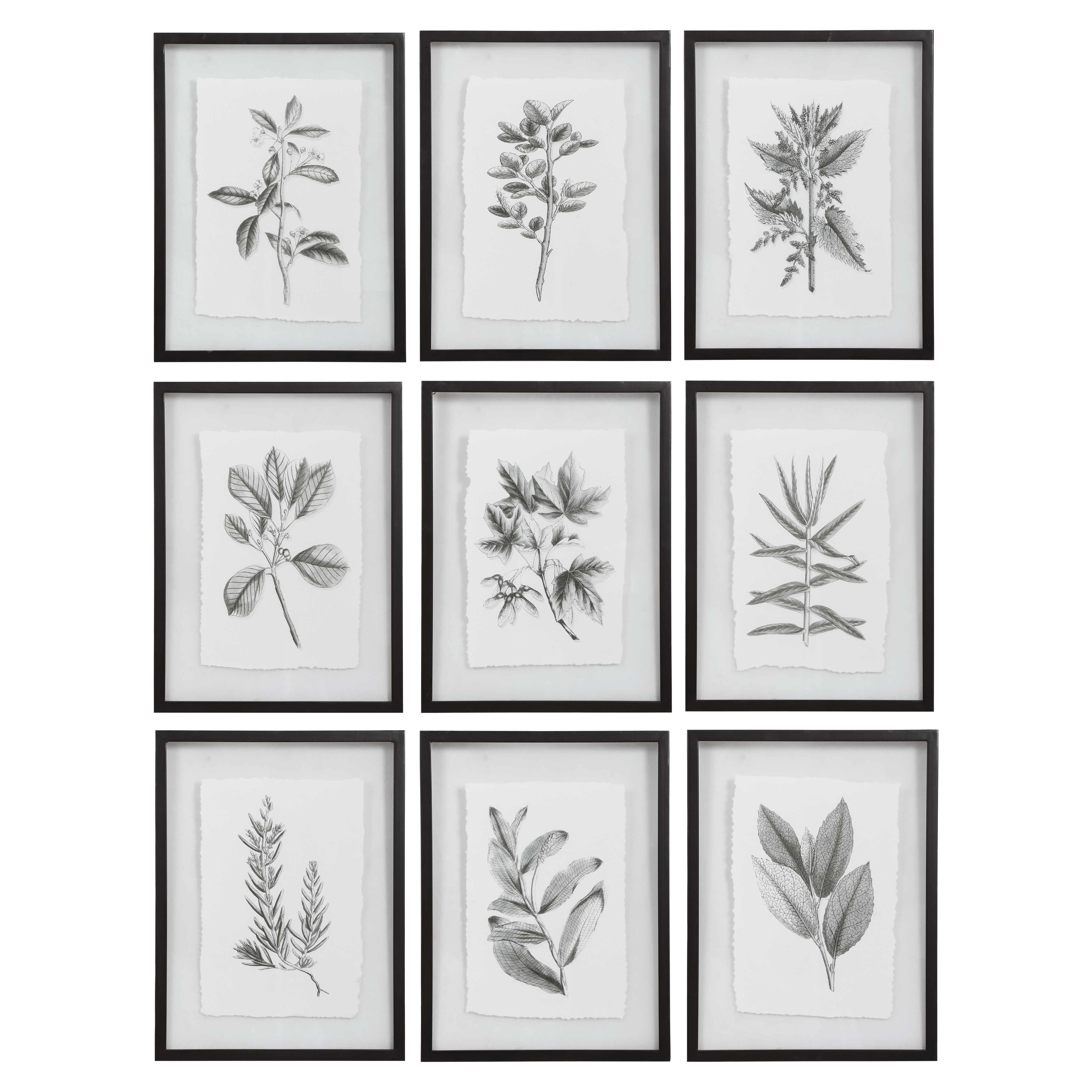 FARMHOUSE FLORALS FRAMED PRINTS, SET OF 9 - Remutear