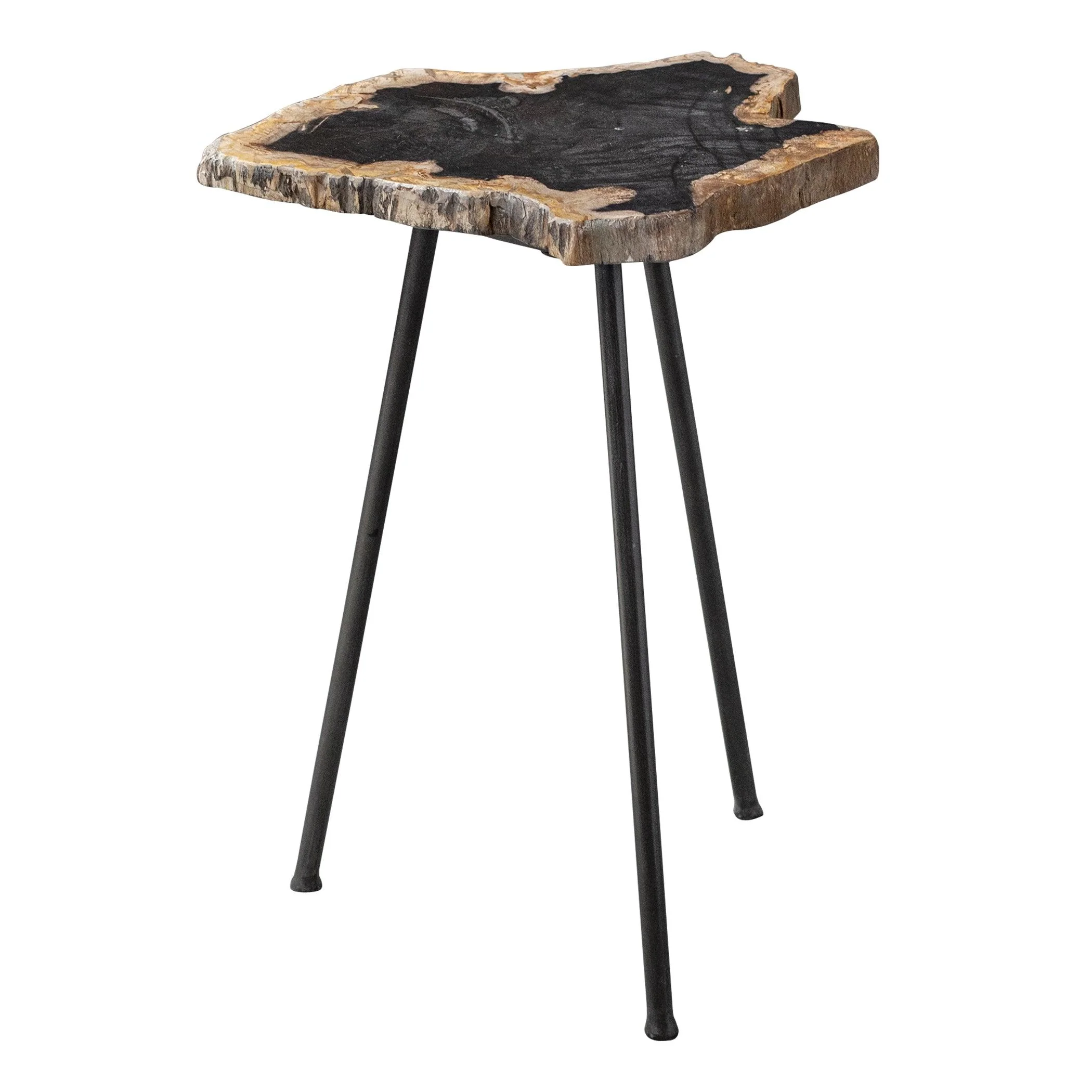 MIRCEA PETRIFIED WOOD ACCENT TABLE - Remutear