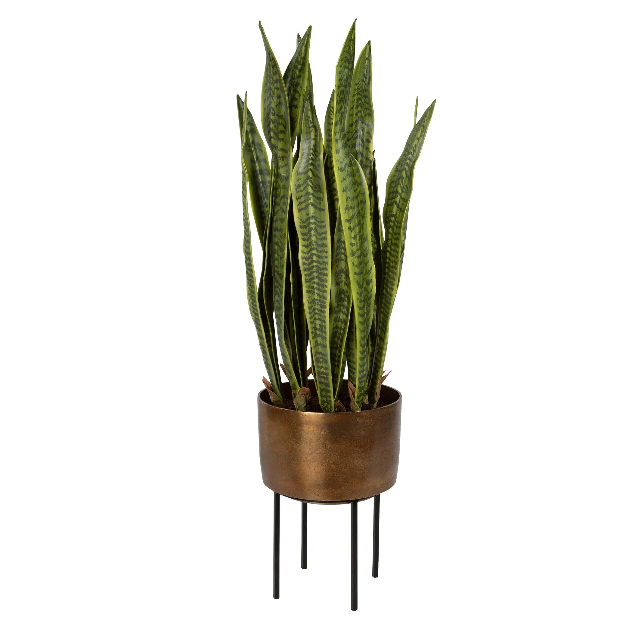 FASITA BRASS PLANTER 2 CARTONS - Remutear