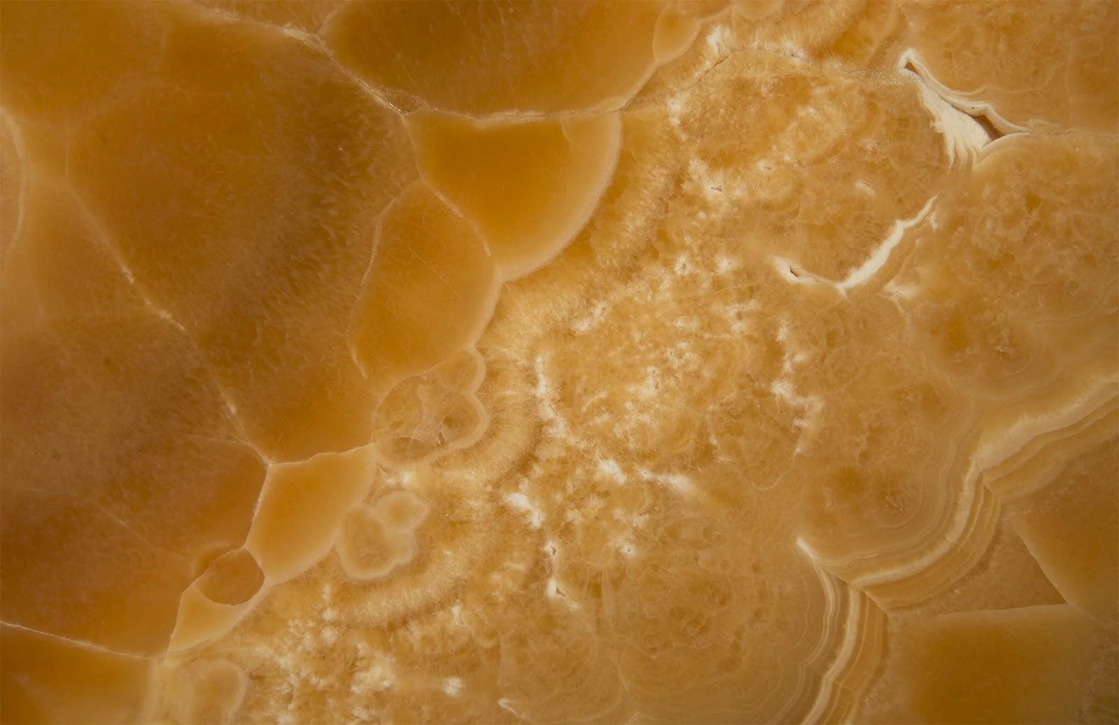 Gem Wall Tile in Brass Setting, Sand Onyx - Remutear