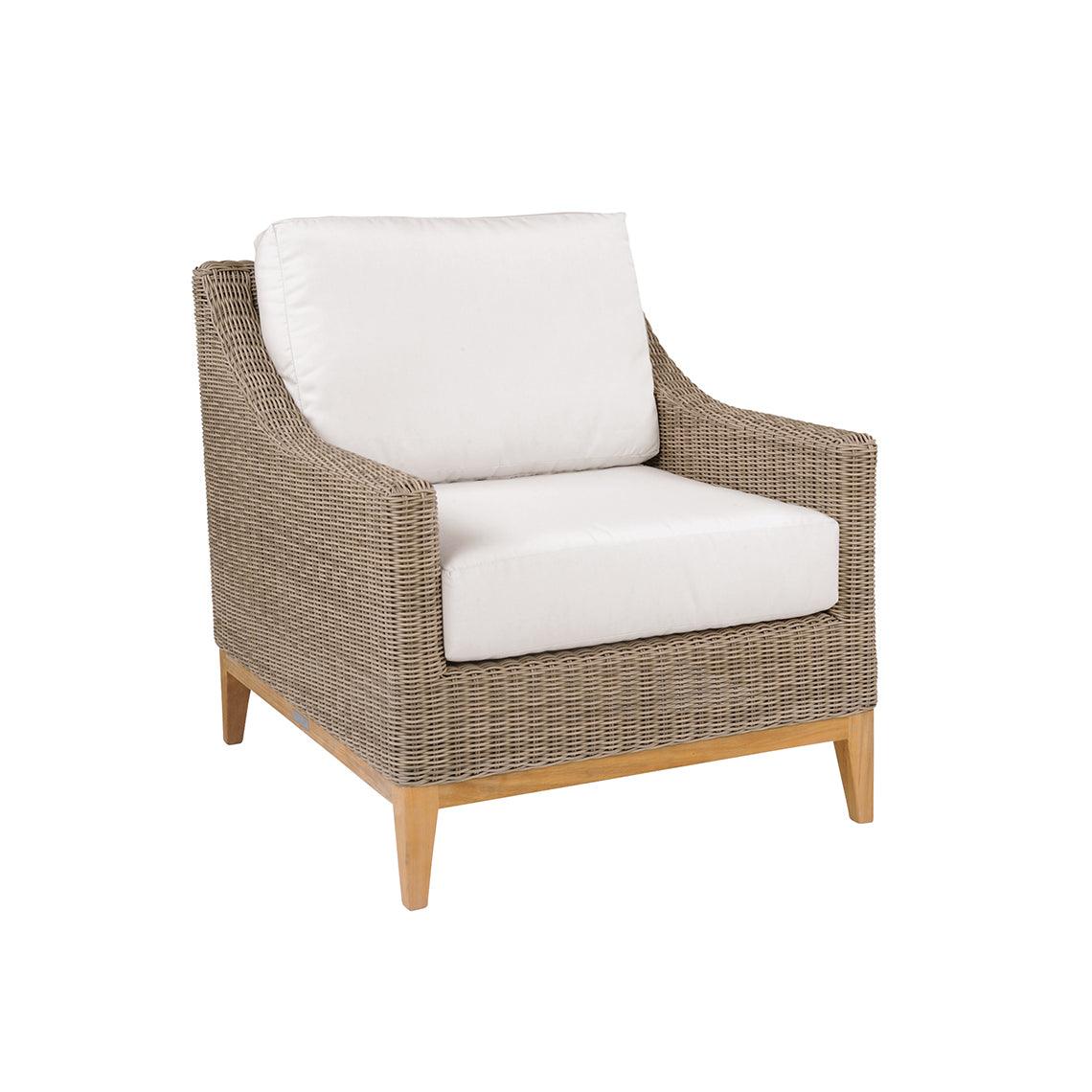 Frances Deep Seating Lounge Chair - Remutear