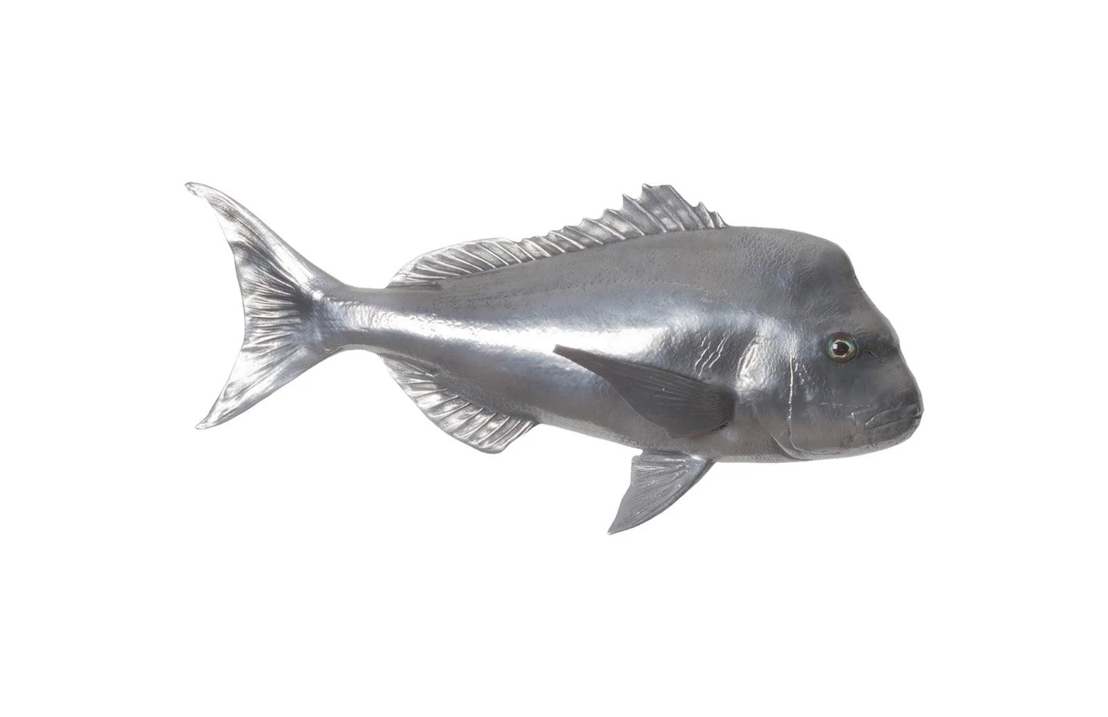 Australian Snapper Fish Wall Sculpture, Resin, Polished Aluminum Finish - Remutear