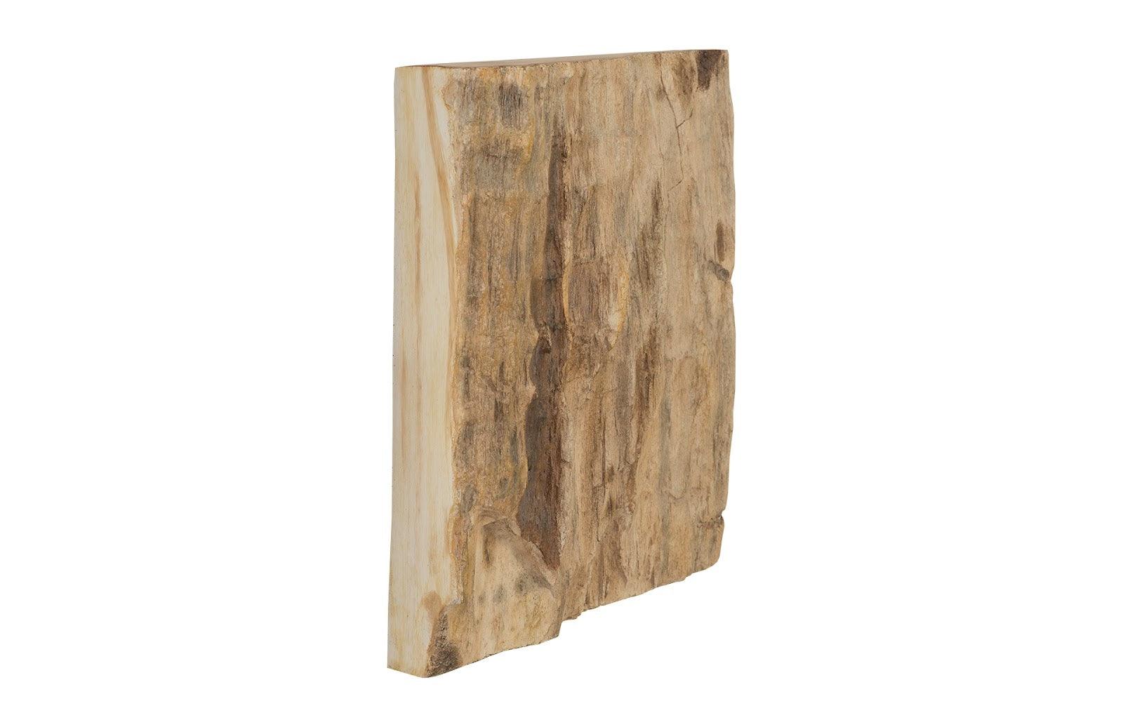 Cast Petrified Wood Wall Tile, Resin, Square - Remutear