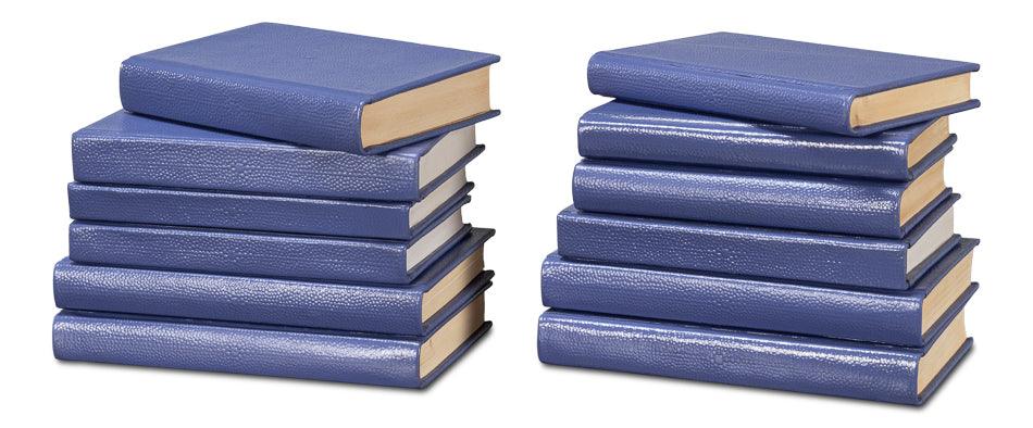 Shagreen Books - Set Of 12 - Marlin - Remutear
