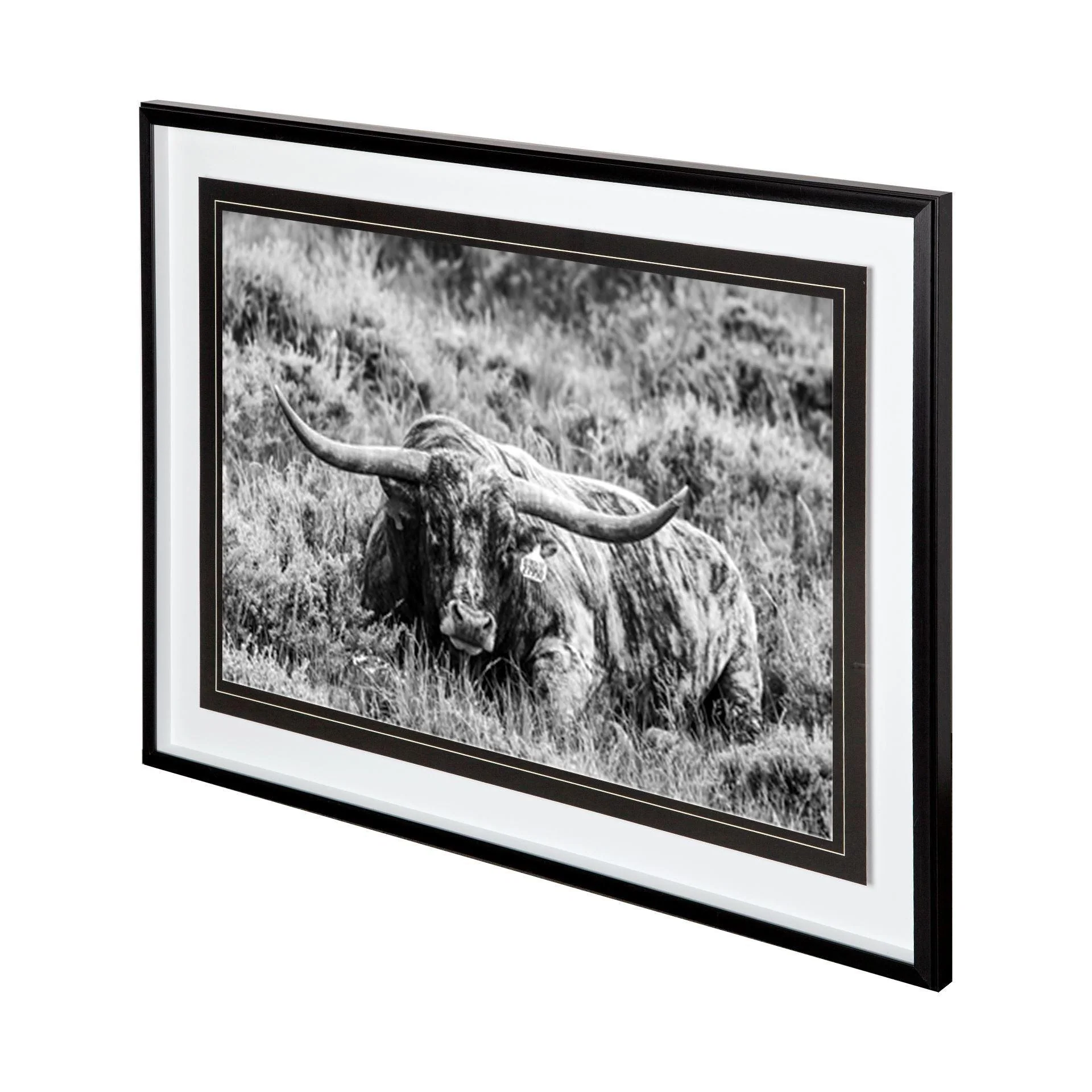 B&W Longhorn III - Remutear