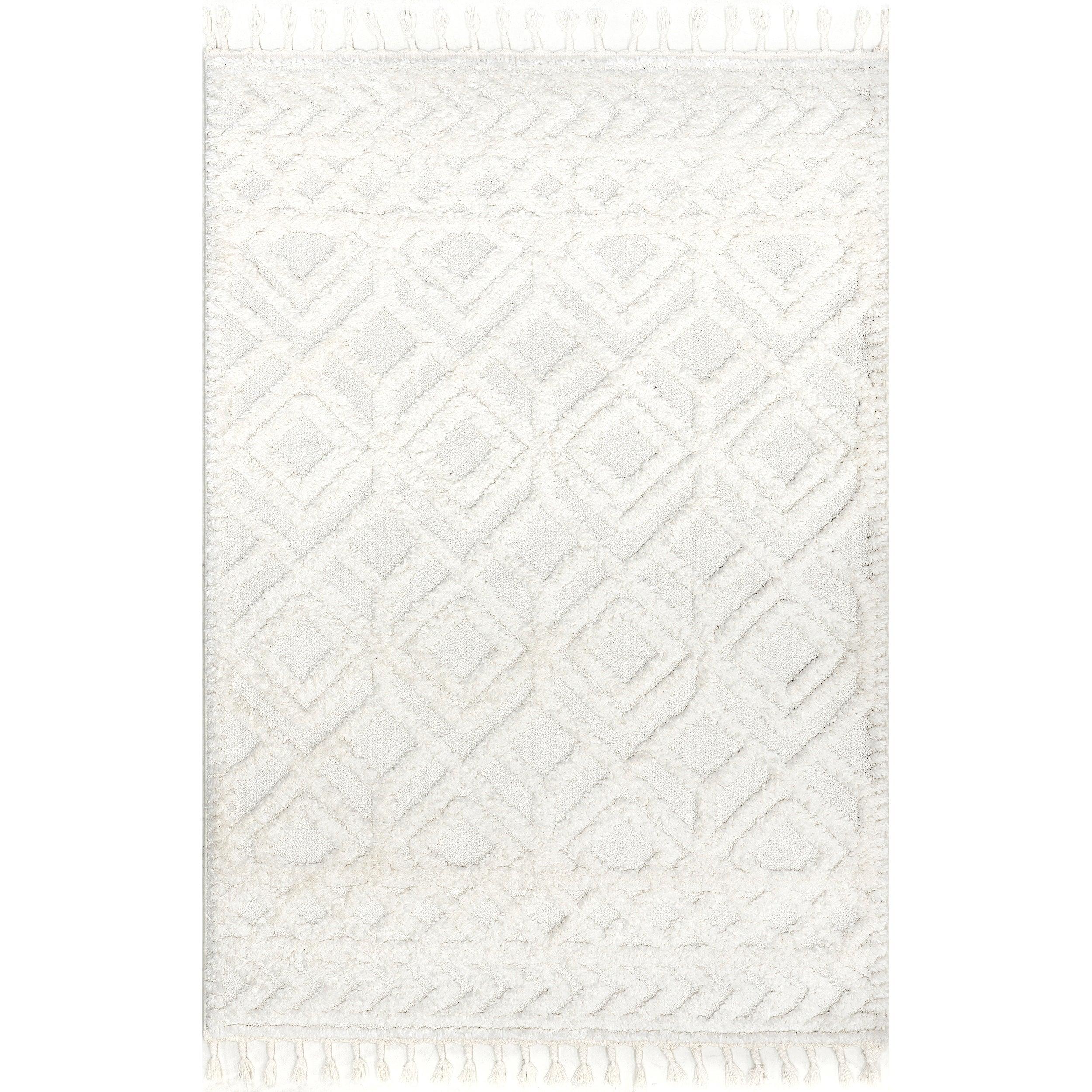 Akia Lattice High/Low Tassel Area Rug - Remutear