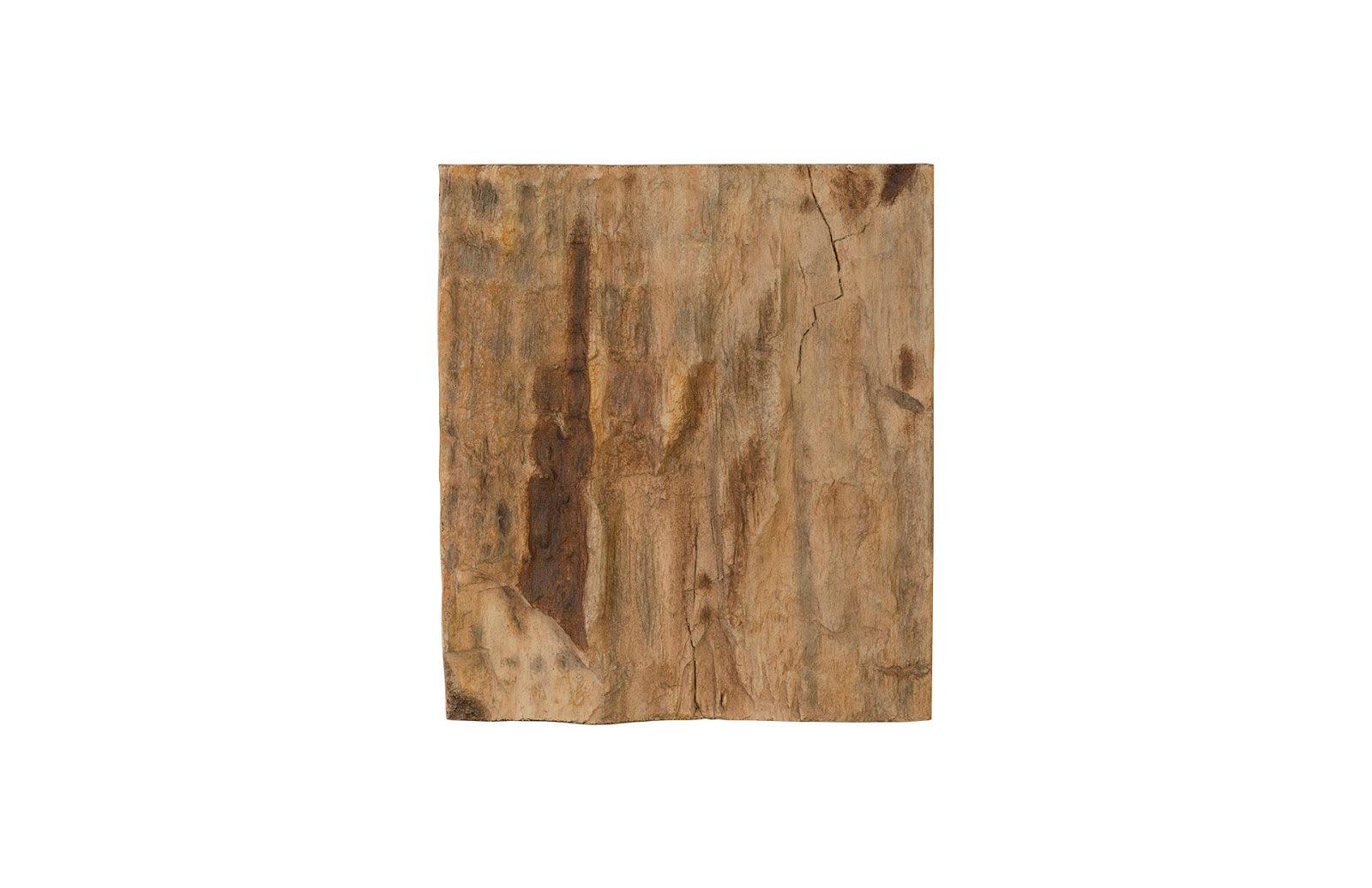 Cast Petrified Wood Wall Tile, Resin, Square - Remutear