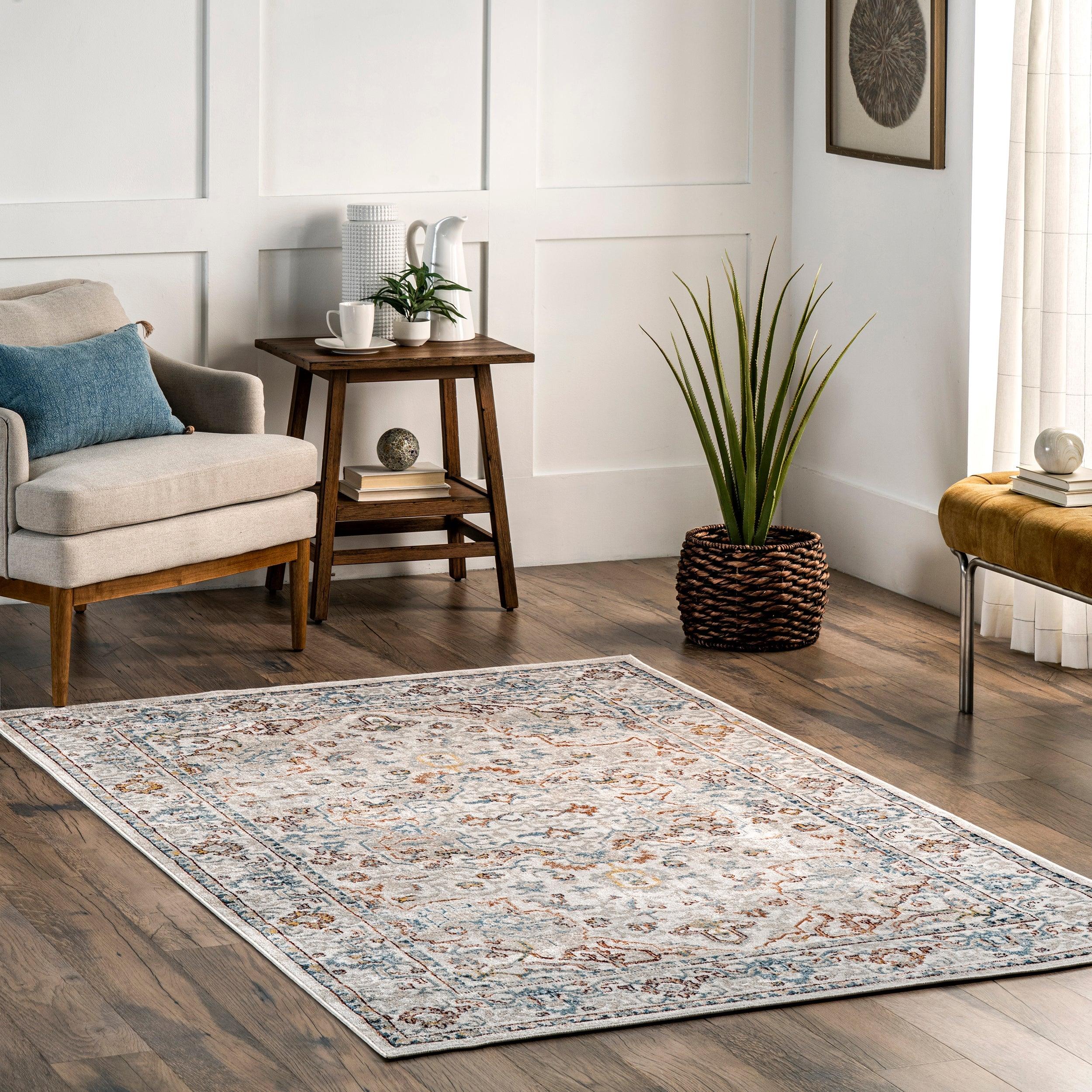Cady Machine Washable Transitional Area Rug - Remutear