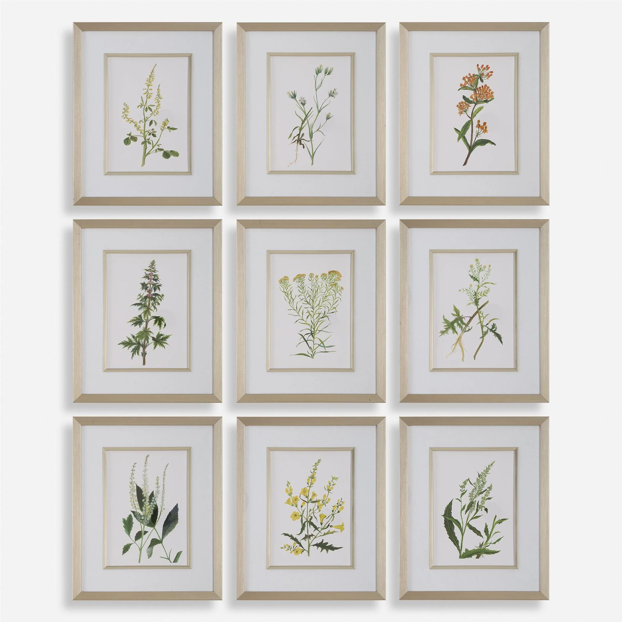 Botanical Flowers Framed Prints, S/9 - Remutear
