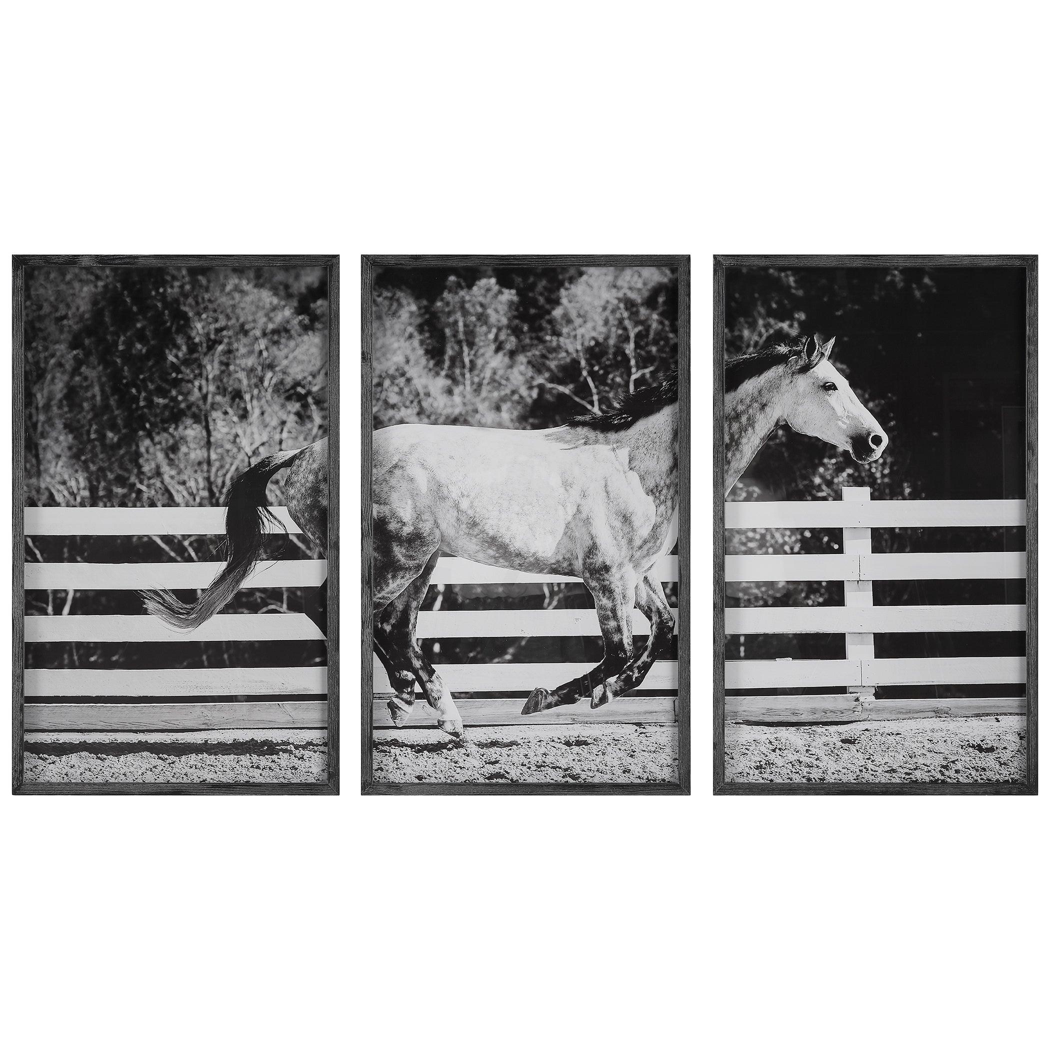 Galloping Forward Equine Prints, Set/3 - Remutear
