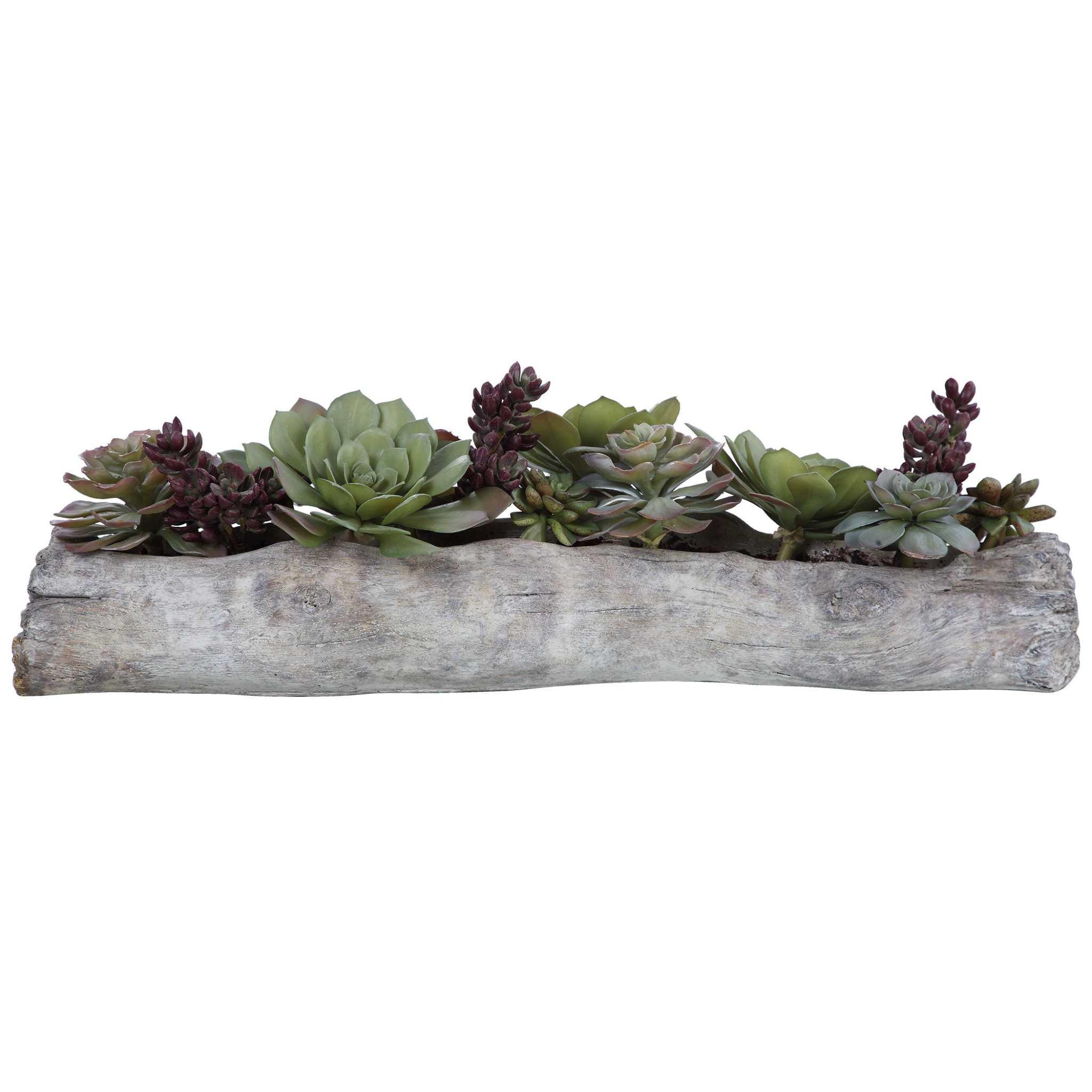 Charita Lush Succulents - Remutear