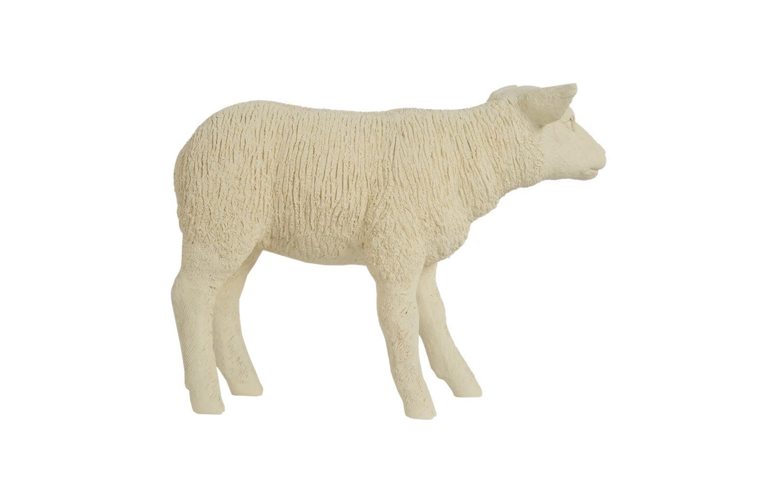 Texelaar Sheep, Lamb, Cream - Remutear