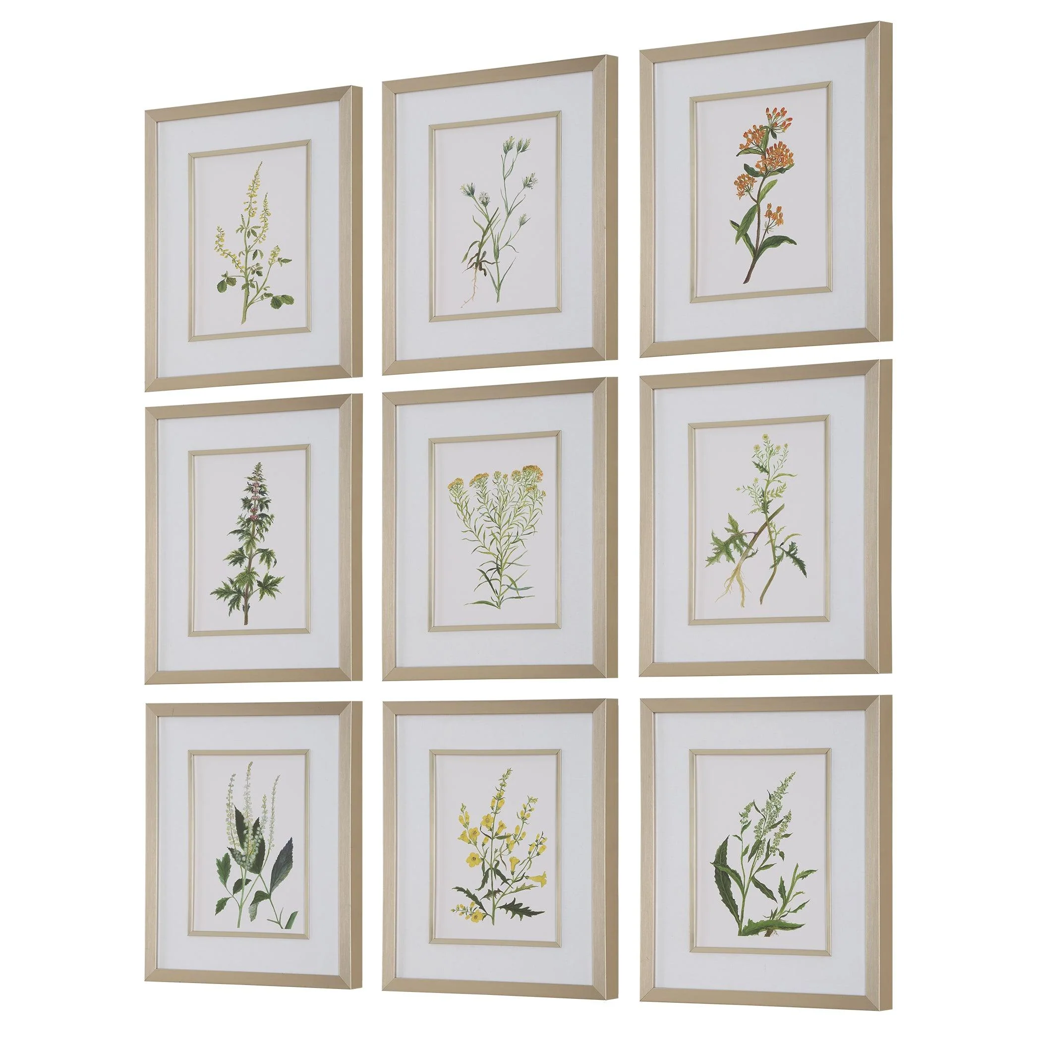 Botanical Flowers Framed Prints, S/9 - Remutear