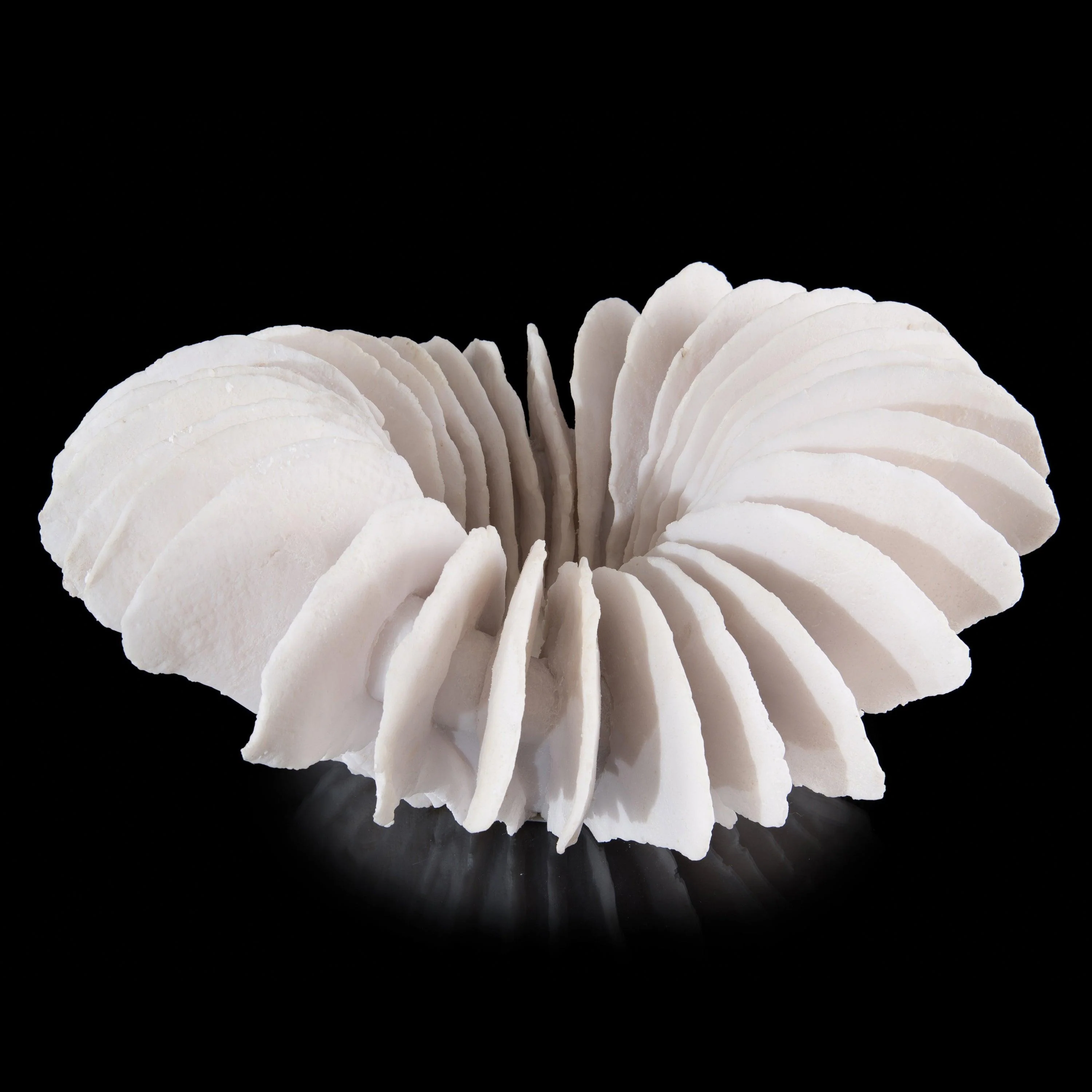 Translucent Ridges Bowl - Remutear